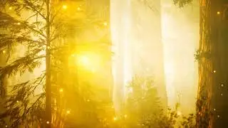 Afterlife - Tripping In My Garden