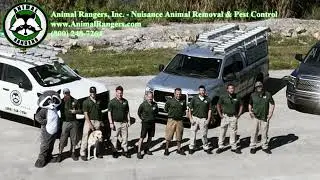 Animal Rangers, Inc. - Florida Nuisance Wildlife Control Services