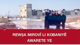 Rewşa mirovî li Kobaniyê awarte û dijwar e