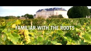 Braastad Cognac - Familiar with the Roots