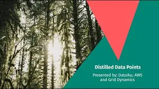 Distilled Data Points Customer Analytics and Personalization
