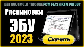 = Секреты ЧИП-тюнинга = 🟢 Распиновка ЭБУ для ЧИП-тюнинга || Сборник 2023 || Для 53-го и 71-го модуля