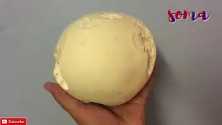 VATOVEC OBROVSK&Yacute; / CALVATIA GIGANTEA
