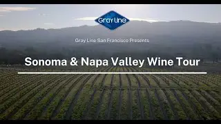 Deluxe Napa & Sonoma Wine Country Tour - Gray Line San Francisco