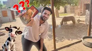 Ye Janwer Zoo K Lye Kaisa Rhy Ga ?? Ek Len Ya Do Len Sb Jaldi Btao😍