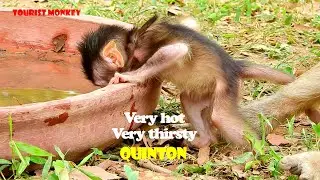 Oh so hot make poor baby Quinton get up and find water for drink, Quinton very thirsty