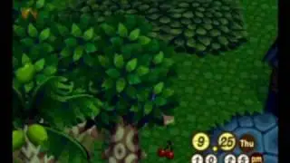 Animal Crossing: Action Replay Fun