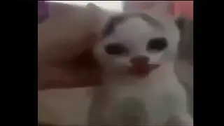 squewe honorable mention compilation