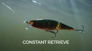Swimming Action Rapala BX Swimmer
