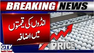Egg Prices Increase | Kabirwala Latest Update | Breaking News