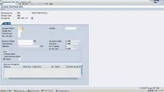 How to creat a New Storage Bin in SAP WMS
