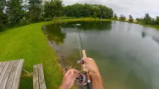 Spot fiskeri i Harlev put and take