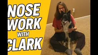 Sniff Happens🐾| Fun Scent Games at Home