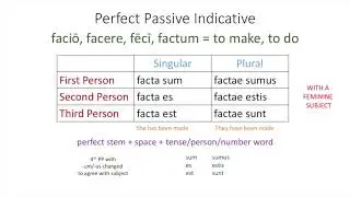 Perfect System Passive Verbs