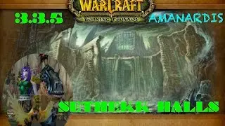 3.3.5a Sethekk Halls (Auchindoun) Hunter [ Lordaeron ] PvE WoW WotLK