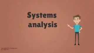 Who is a Systems Analyst?