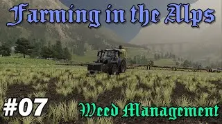 FS19 - Farming in the Alps EP07 Lets Play - Weed Management