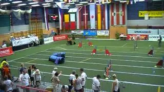 PARA-AGILITY (Susan Rekveld) PAWC 30 08 2015 JOY Jumping 02