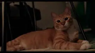 Riggs Watching Cartoons On TV First Test Bpmcc 4k