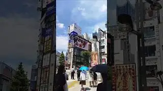 3D Billboard Ad in Tokyo 🐱🏙✨ / Реальная кошка на здании в Токио