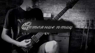 Состояние птиц - VIII(guitar cover)