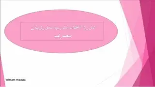 البرنامج التدريبي لمدرب سوروبان محترف