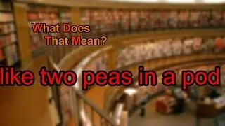 What does like two peas in a pod mean?