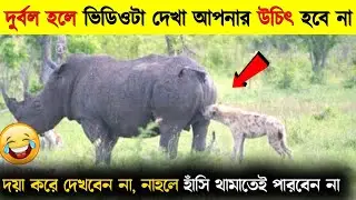 হাসতে হাসতে লাফিয়ে পড়বেন 😂 Funny Animal Videos Compilation | Funny, Cute & Viral Animal Moments