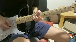 Chicago - South California Purples guitar cover