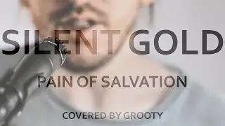 Silent Gold - Pain of Salvation (Live cover by Grooty)