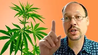Cannabis and Kidney Disease Latest Research CBD | Marijuana And Kidney Disease | Helpful Or Not CKD?
