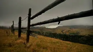 Toamna, de  Elena Popa Repeziș