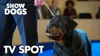 Show Dogs | 