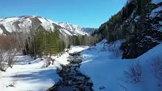 awakening of nature (4K Video)