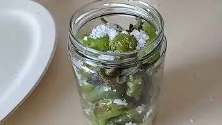 KÖY BİBERİNDEN YAĞLI TURŞU
