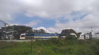KJM's 