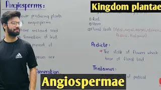 Angiospermae Characteristics In Urdu Hindi | Life Cycle