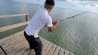 BULL REDFISH ~ PORT LAVACA ~ PRIVATE PIER
