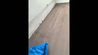 Montaj deck