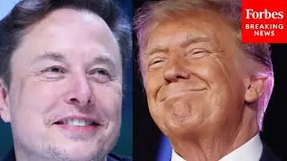 'I Called Elon...': Trump Says He Got Musk To Help Hurricane Helene Victims With Starlink