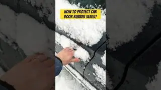 Protect your car door rubber seals with silicone-based protectants! #liquimoly #winter #car
