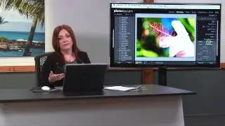 Shift Colors Using Profiles in Lightroom with Lesa Snider