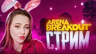 ХОЧУ БОЛЬШУЮ ПОПУ  (В ARENA BREAKOUT)