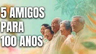 Moai: 5 Amigos Leais Que Garantem 100 Anos de Vida