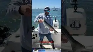 How many of you still need a 2025 Halibut quit being a liar lol