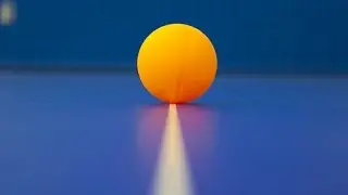 Table Tennis 