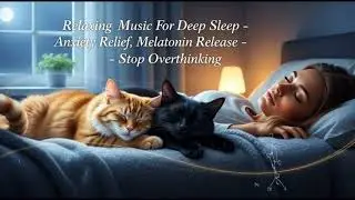 Relaxing music Sleeping with a cat and listening to music can help reduce stress.