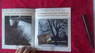 3(c) - 3 An Geimhreadh