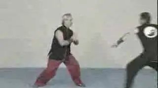 Kung Fu Pai Lum Tao