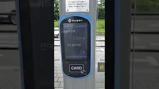 맛탱이간 교통카드 잔액확인기 with.세익여객